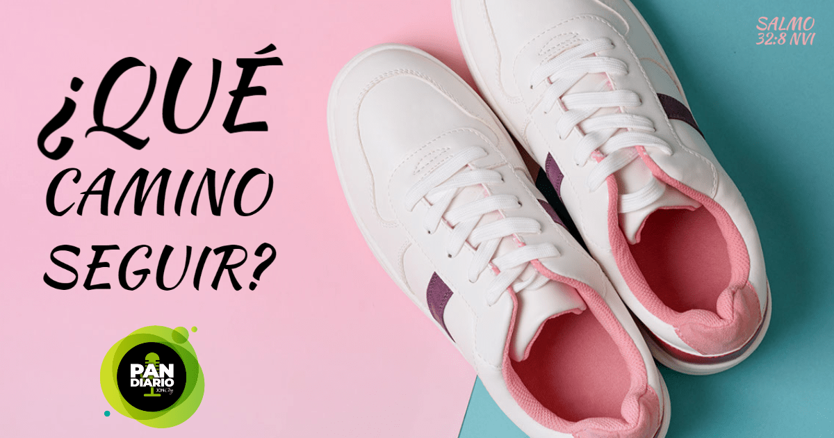 ¿QUÉ CAMINO SEGUIR?
