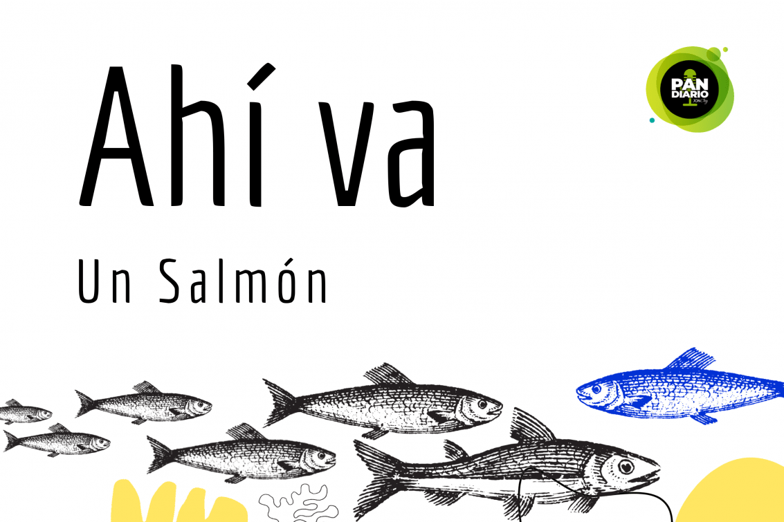 AHÍ VA UN SALMÓN