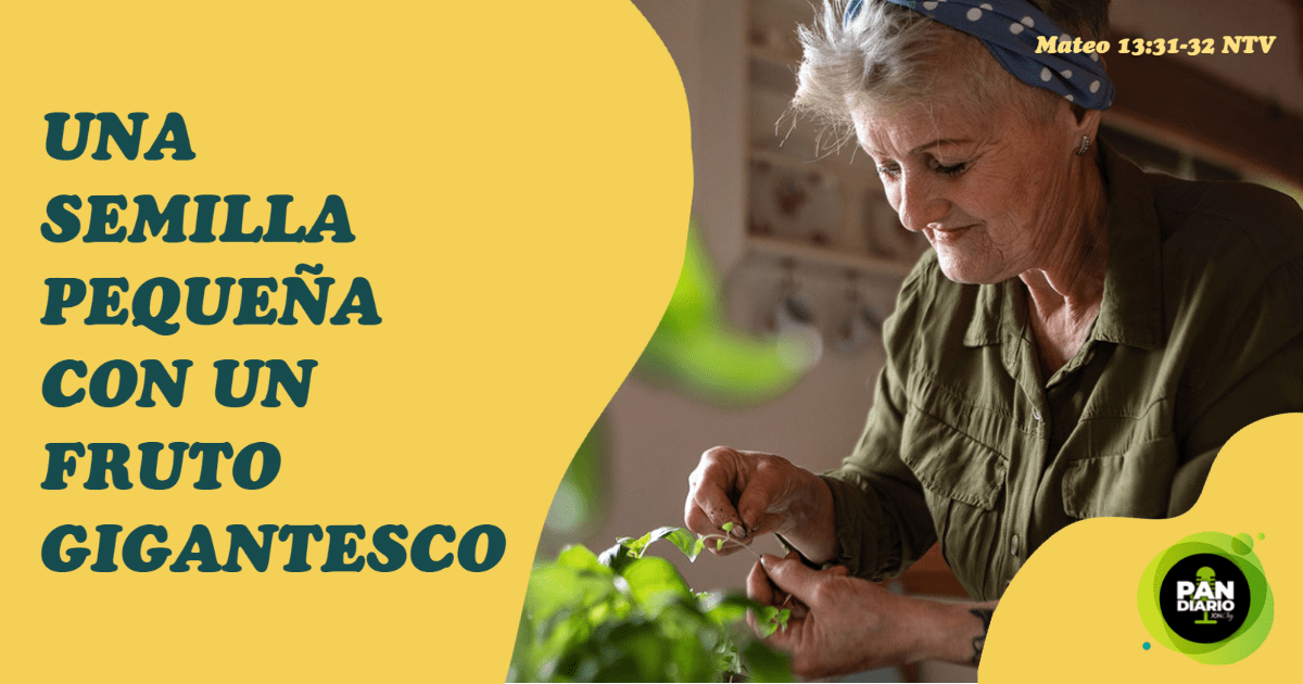 UNA SEMILLA PEQUEÑA CON UN FRUTO GIGANTESCO