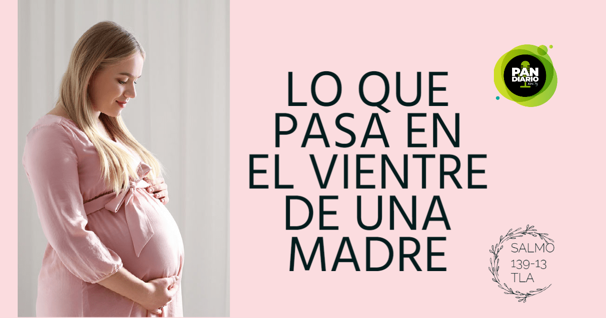 LO QUE PASA EN EL VIENTRE DE UNA MADRE