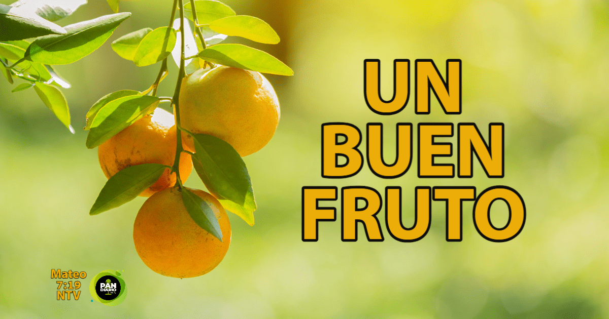 UN BUEN FRUTO