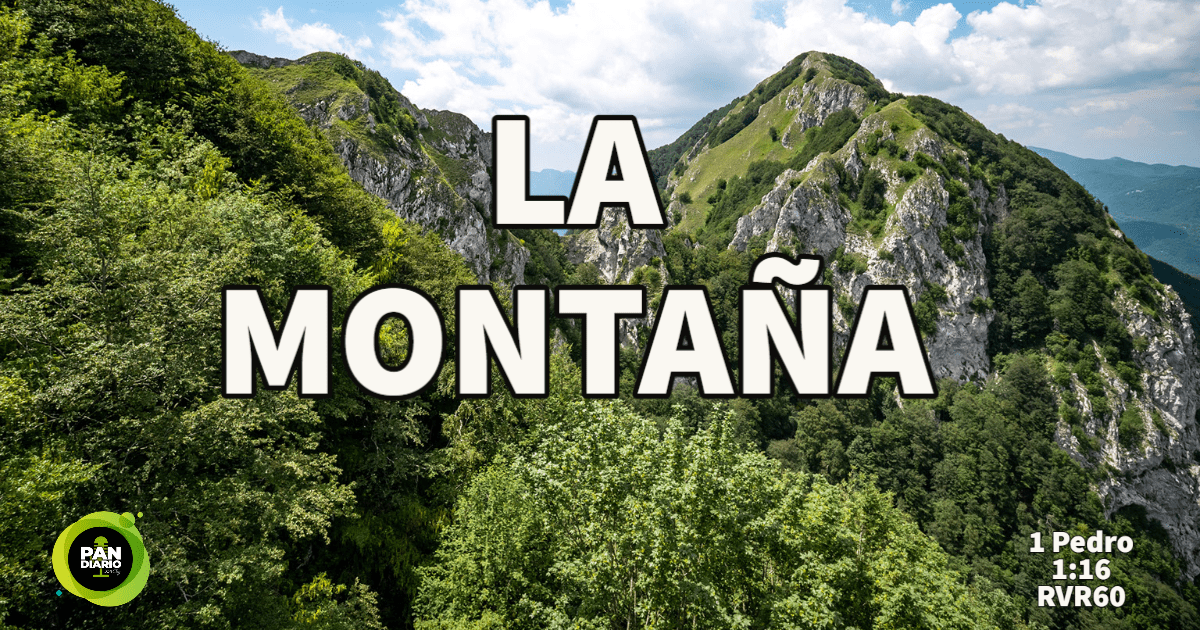 LA MONTAÑA