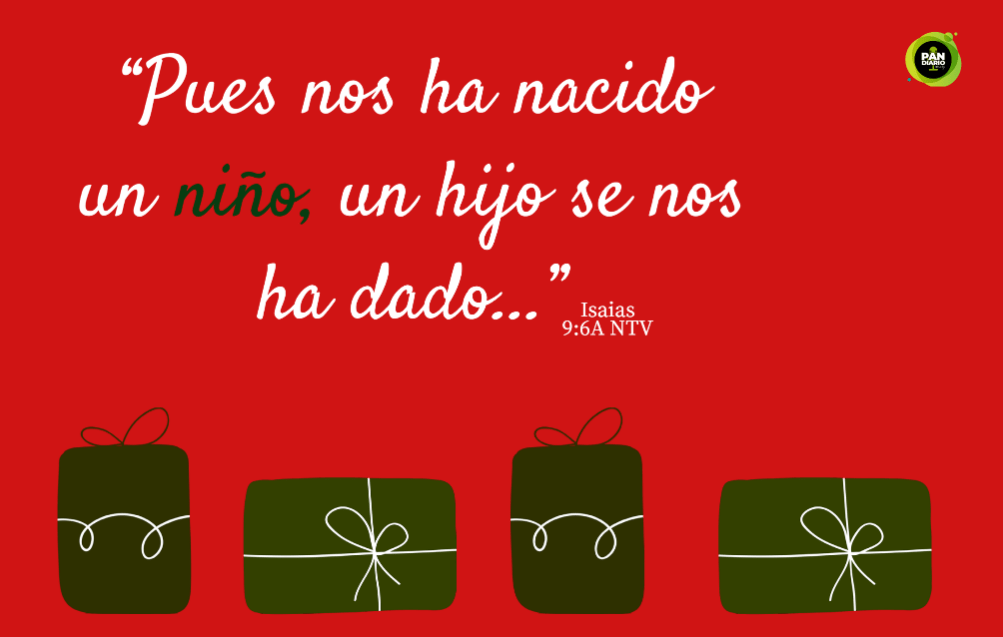¿QUÉ HEMOS HECHO EN LA NAVIDAD?