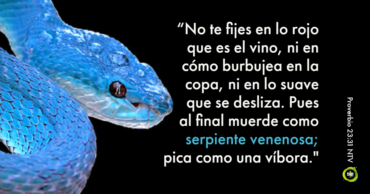 MORDIDA DE SERPIENTE