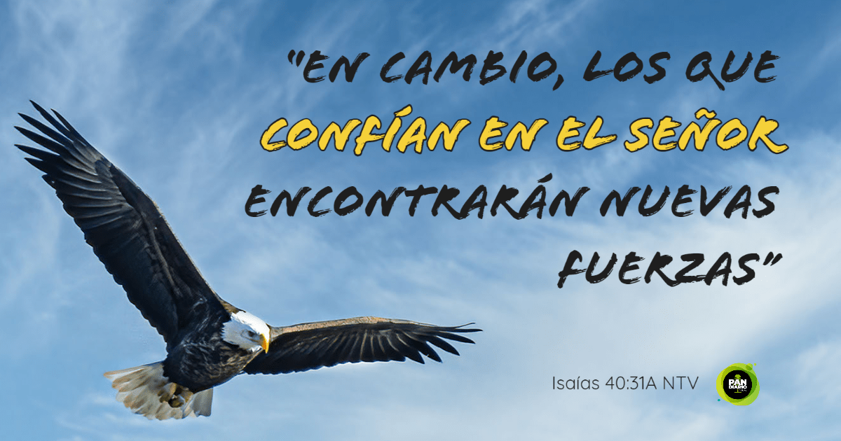 AÑO NUEVO, CONFIANZA NUEVA