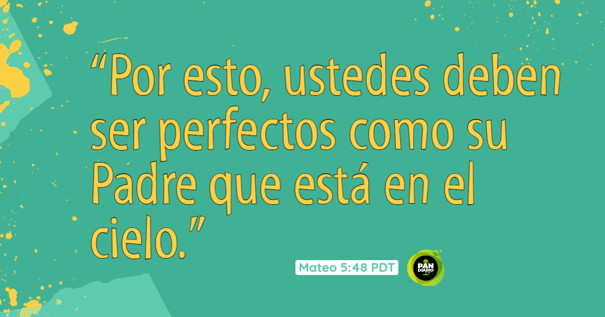 BUSCANDO LA PERFECCIÓN