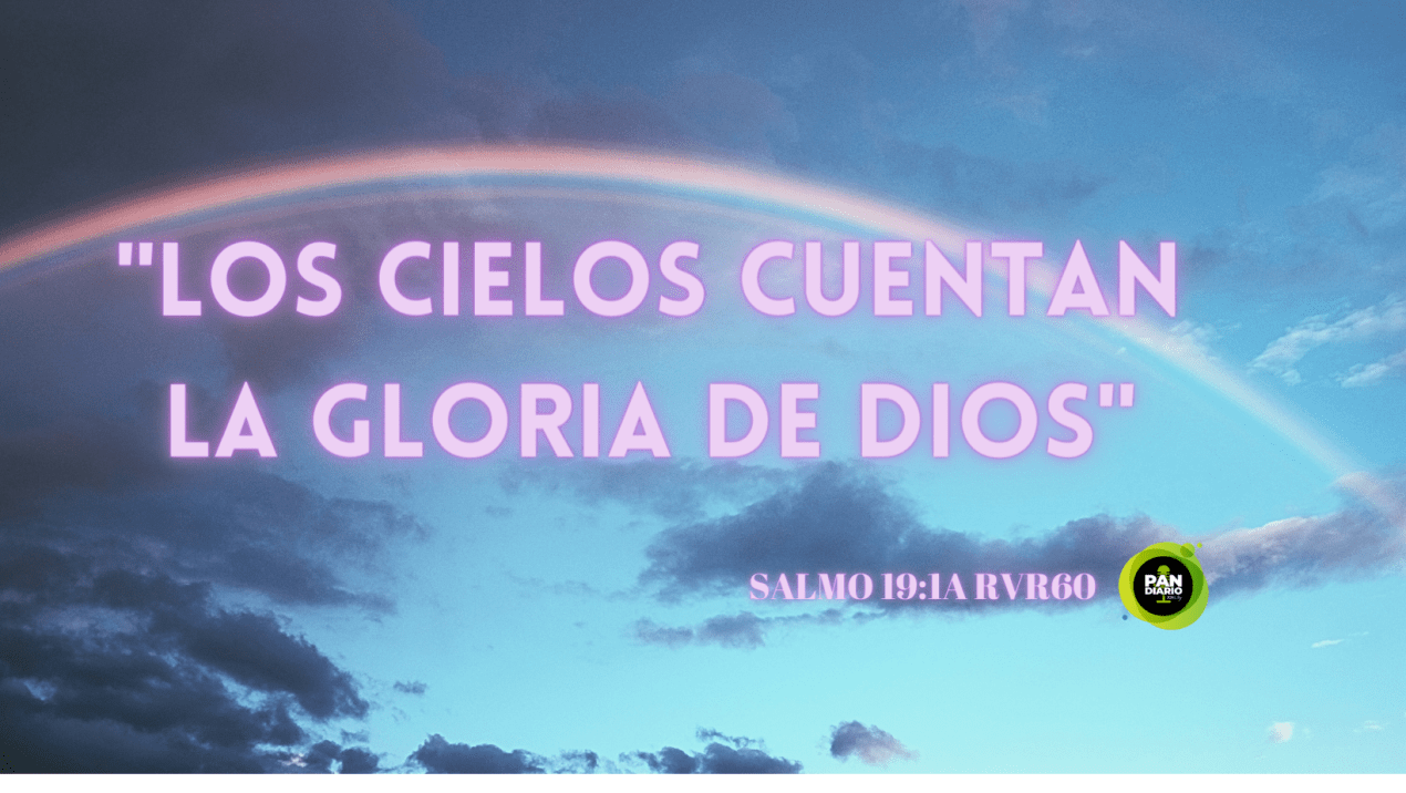 LOS DETALLES DEL CREADOR